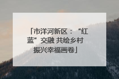 市洋河新区：“红蓝”交融 共绘乡村振兴幸福画卷