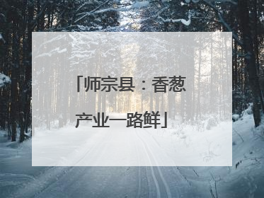 师宗县：香葱产业一路鲜