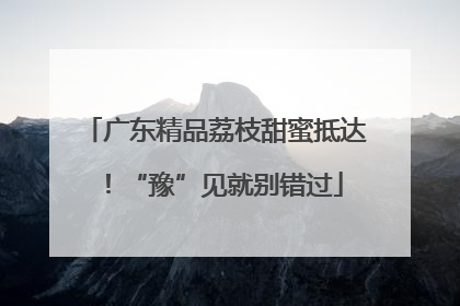 广东精品荔枝甜蜜抵达！“豫”见就别错过