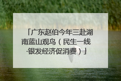 广东赵伯今年三赴湖南蓝山观鸟（民生一线·银发经济促消费）