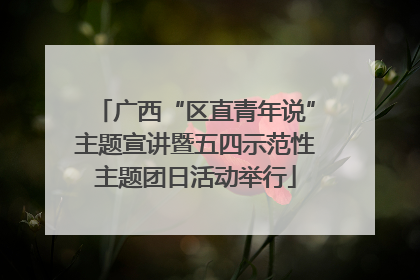 广西“区直青年说”主题宣讲暨五四示范性主题团日活动举行