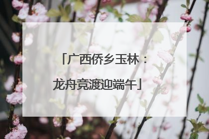 广西侨乡玉林：龙舟竞渡迎端午