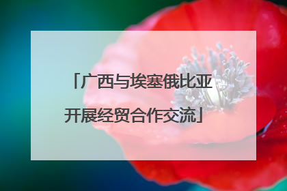 广西与埃塞俄比亚开展经贸合作交流