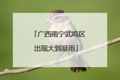 广西南宁武鸣区出现大到暴雨