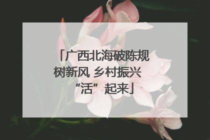 广西北海破陈规树新风 乡村振兴“活”起来