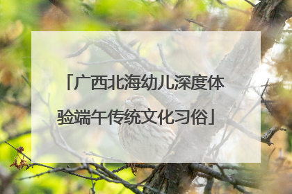 广西北海幼儿深度体验端午传统文化习俗
