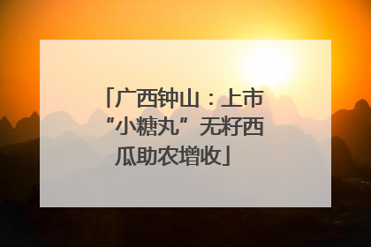 广西钟山：上市“小糖丸”无籽西瓜助农增收