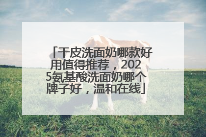 干皮洗面奶哪款好用值得推荐，2025氨基酸洗面奶哪个牌子好，温和在线