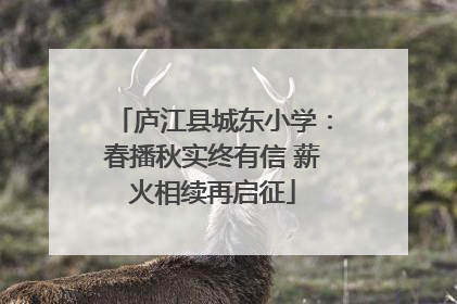 庐江县城东小学：春播秋实终有信 薪火相续再启征