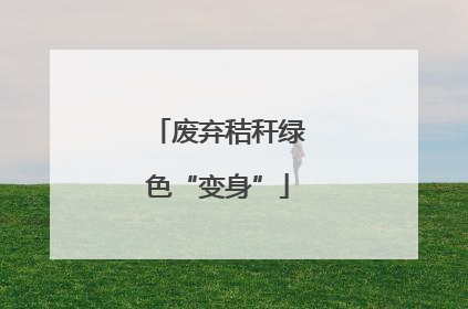 废弃秸秆绿色“变身”