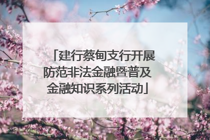 建行蔡甸支行开展防范非法金融暨普及金融知识系列活动