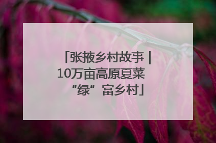 张掖乡村故事｜10万亩高原夏菜“绿”富乡村