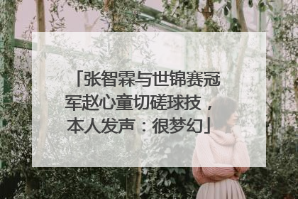 张智霖与世锦赛冠军赵心童切磋球技，本人发声：很梦幻