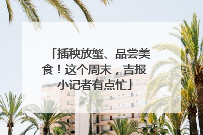 插秧放蟹、品尝美食！这个周末，吉报小记者有点忙