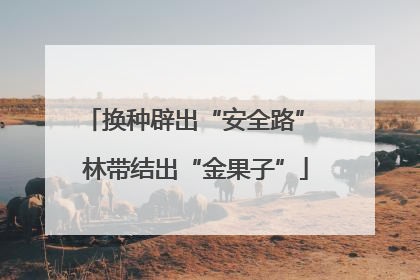换种辟出“安全路” 林带结出“金果子”