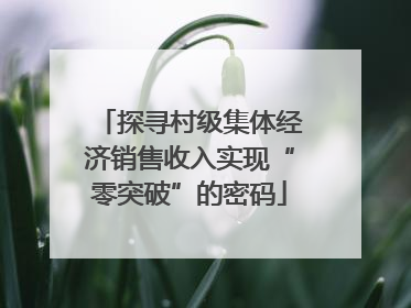 探寻村级集体经济销售收入实现“零突破”的密码