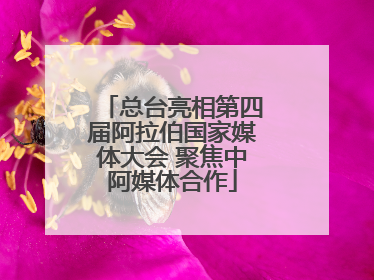 总台亮相第四届阿拉伯国家媒体大会 聚焦中阿媒体合作
