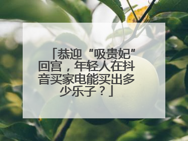 恭迎“吸贵妃”回宫，年轻人在抖音买家电能买出多少乐子？