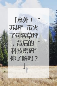 意外！“苏超”带火了句容草坪，背后的“科技密码”你了解吗？