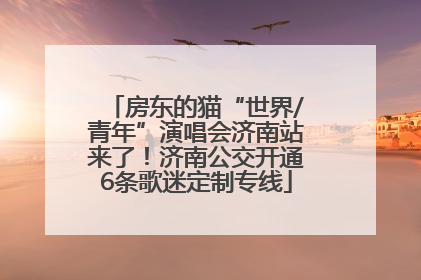 房东的猫“世界/青年”演唱会济南站来了！济南公交开通6条歌迷定制专线