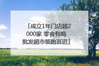成立1年门店超2000家 零食有鸣批发超市领跑赛道