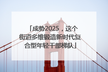 成势2025，这个街道多维锻造新时代复合型年轻干部梯队