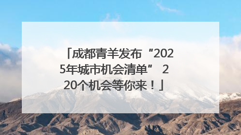 成都青羊发布“2025年城市机会清单” 220个机会等你来！