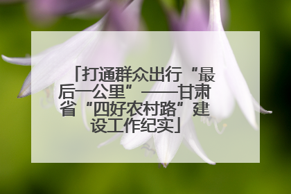 打通群众出行“最后一公里”——甘肃省“四好农村路”建设工作纪实