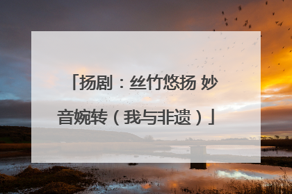 扬剧：丝竹悠扬 妙音婉转（我与非遗）