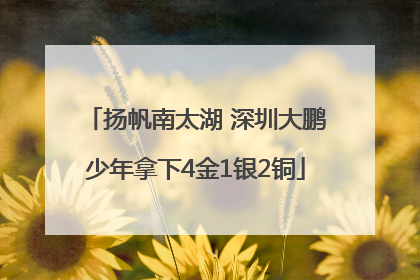 扬帆南太湖 深圳大鹏少年拿下4金1银2铜