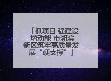 抓项目 强建设 增动能 市湖滨新区筑牢高质量发展“硬支撑”