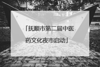 抚顺市第二届中医药文化夜市启动