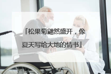 松果菊翩然盛开，像夏天写给大地的情书