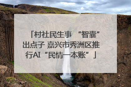村社民生事 “智囊”出点子 嘉兴市秀洲区推行AI“民情一本账”