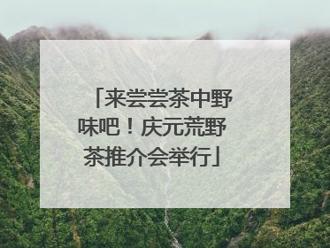 来尝尝茶中野味吧！庆元荒野茶推介会举行
