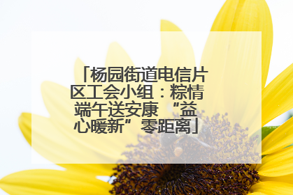 杨园街道电信片区工会小组：粽情端午送安康 “益心暖新”零距离