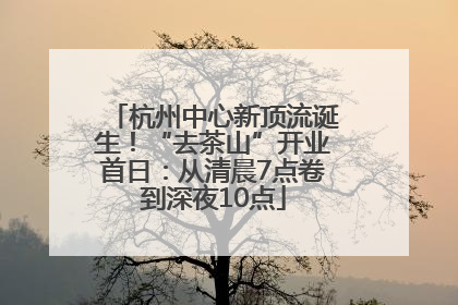杭州中心新顶流诞生！“去茶山”开业首日：从清晨7点卷到深夜10点