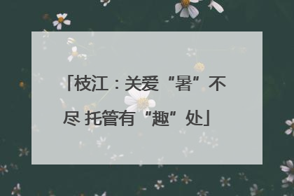 枝江：关爱“暑”不尽 托管有“趣”处
