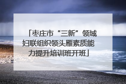 枣庄市“三新”领域妇联组织领头雁素质能力提升培训班开班