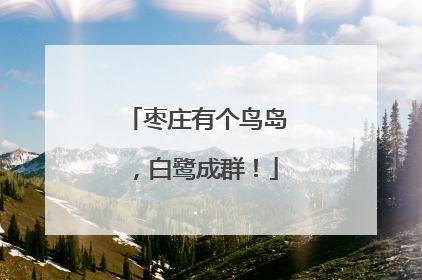 枣庄有个鸟岛，白鹭成群！