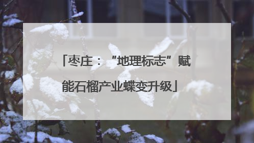 枣庄：“地理标志”赋能石榴产业蝶变升级