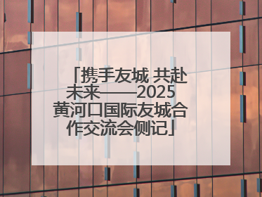 携手友城 共赴未来——2025黄河口国际友城合作交流会侧记