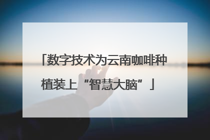 数字技术为云南咖啡种植装上“智慧大脑”