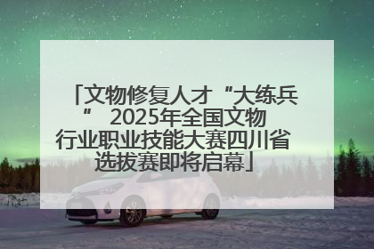 文物修复人才“大练兵” 2025年全国文物行业职业技能大赛四川省选拔赛即将启幕