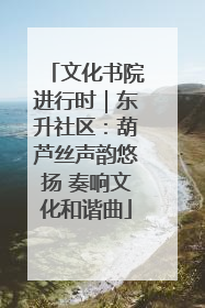 文化书院进行时｜东升社区：葫芦丝声韵悠扬 奏响文化和谐曲