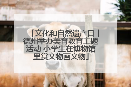 文化和自然遗产日丨德州举办美育教育主题活动 小学生在博物馆里赏文物画文物