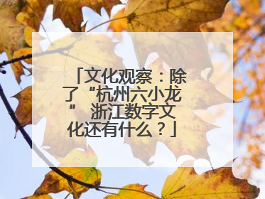 文化观察：除了“杭州六小龙” 浙江数字文化还有什么？