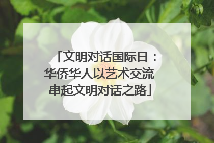 文明对话国际日：华侨华人以艺术交流串起文明对话之路