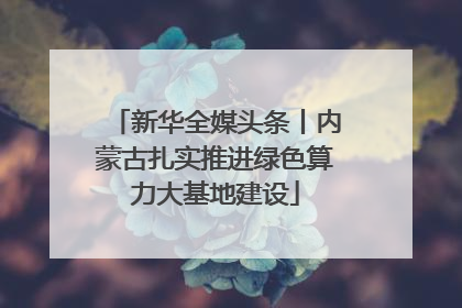 新华全媒头条丨内蒙古扎实推进绿色算力大基地建设