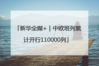 新华全媒+｜中欧班列累计开行110000列
